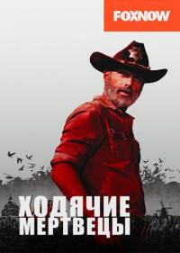 Постер сериала Ходячие мертвецы