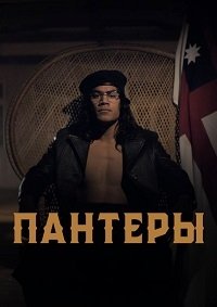 Пантеры 1-1 сезон